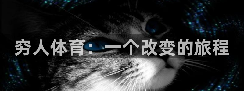球王会体育