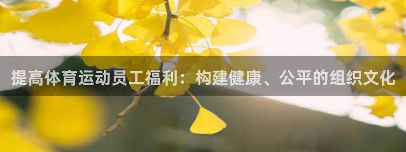球王会体育