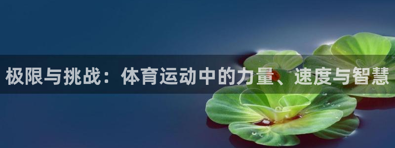 球王会体育